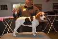 Afb_20171112_betsie (6)